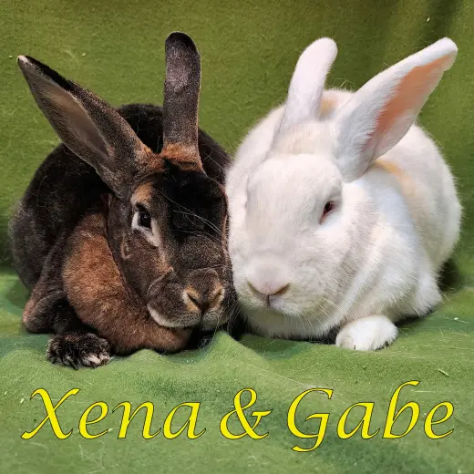 Xena (bonded to Gabe)