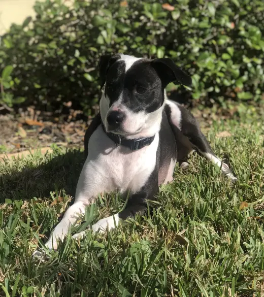 Khloe