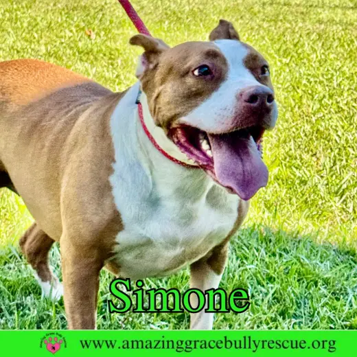 Simone