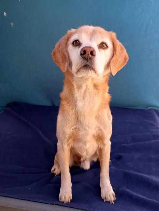 Sammy-his BFF is roomy