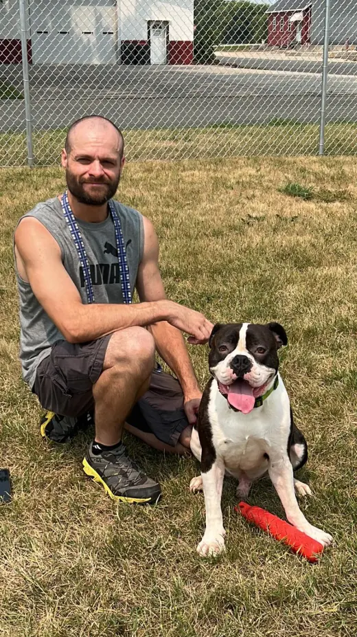 Drago - FOSTER OR ADOPT ME!!