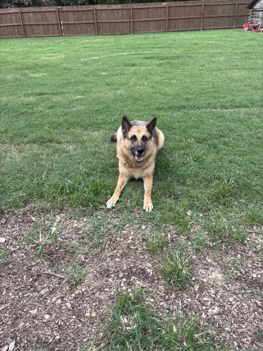 Sandy - COMING SOON!