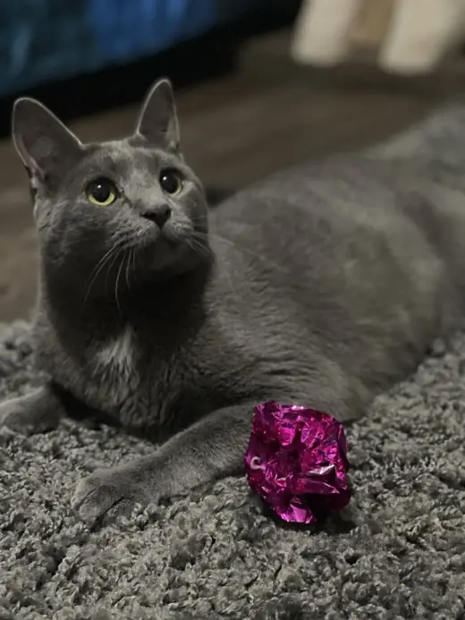 Zuul Silver