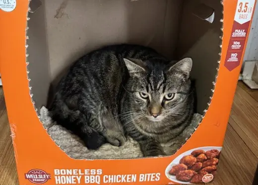 Stanley