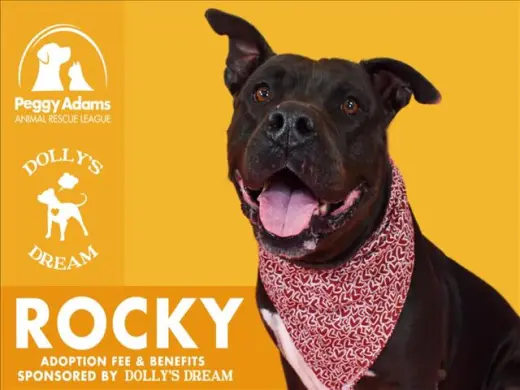 ROCKY