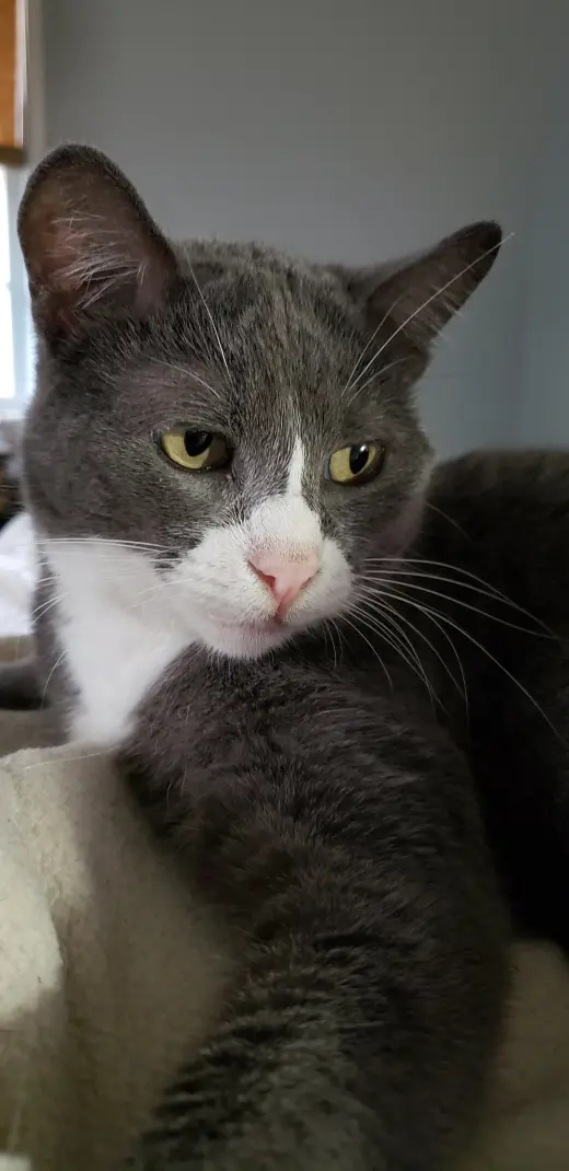 Eleanor
