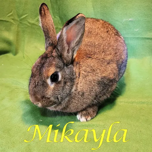 Mikayla