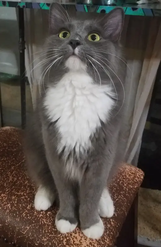 Sebastian