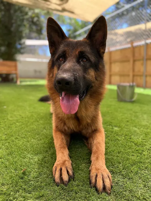 Ragnar