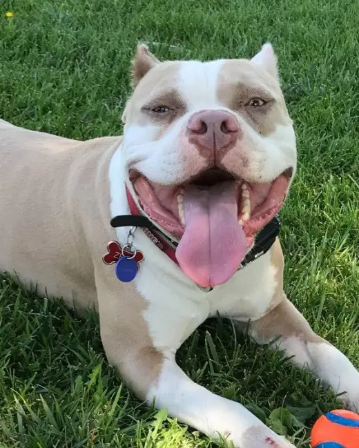Zeus  **Courtesy Listing**