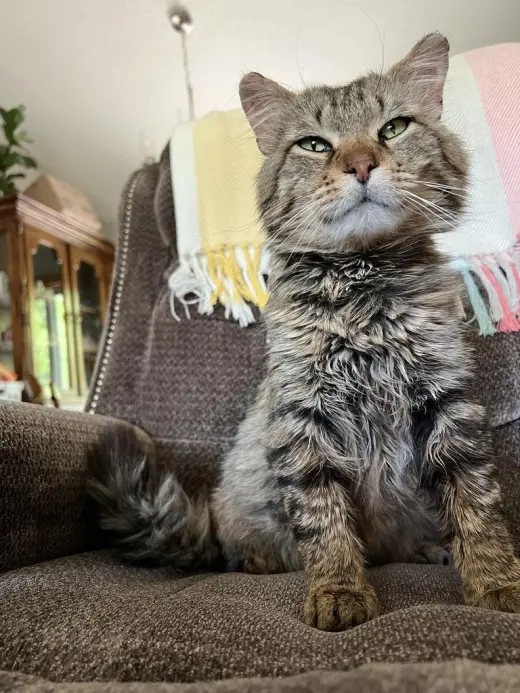 Walter the Wizard
