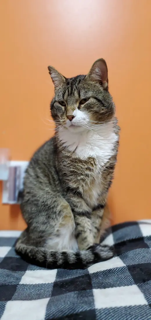 Frank