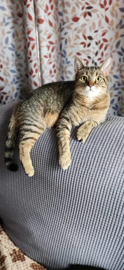 Lilly - AD