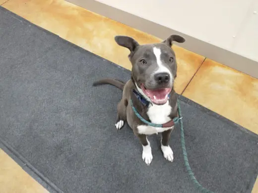Rowen (long-term resident/sponsored fee)