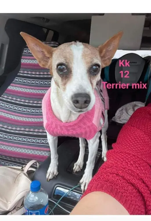 KK