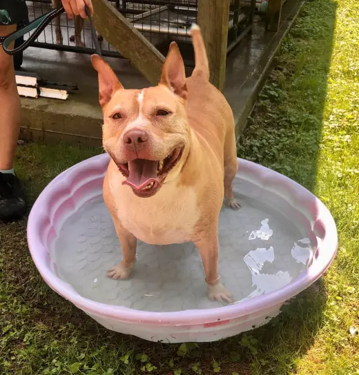 Ella