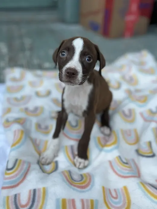 Winnie