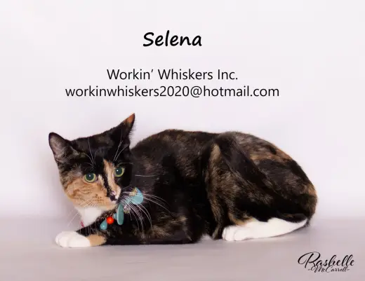 SELENA