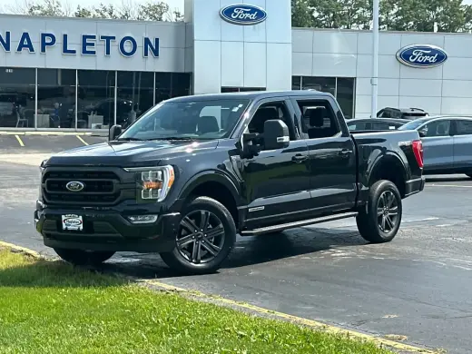 Ford F-150 2023 4x4 XLT 4dr SuperCrew 6.5 ft. SB