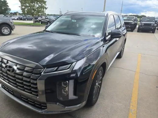 Hyundai PALISADE 2025 Calligraphy 4dr SUV