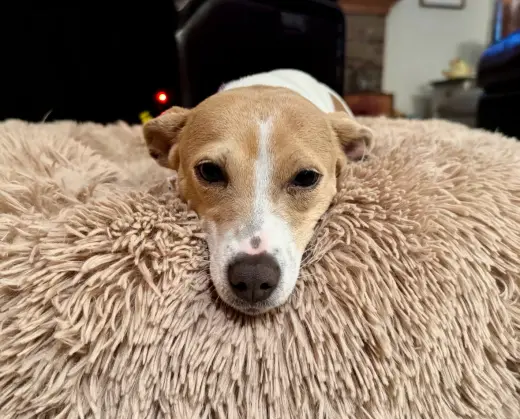 Mama Peaches