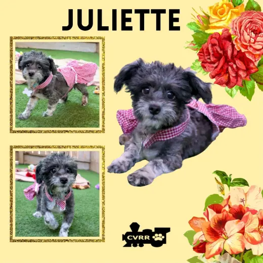 Juliette