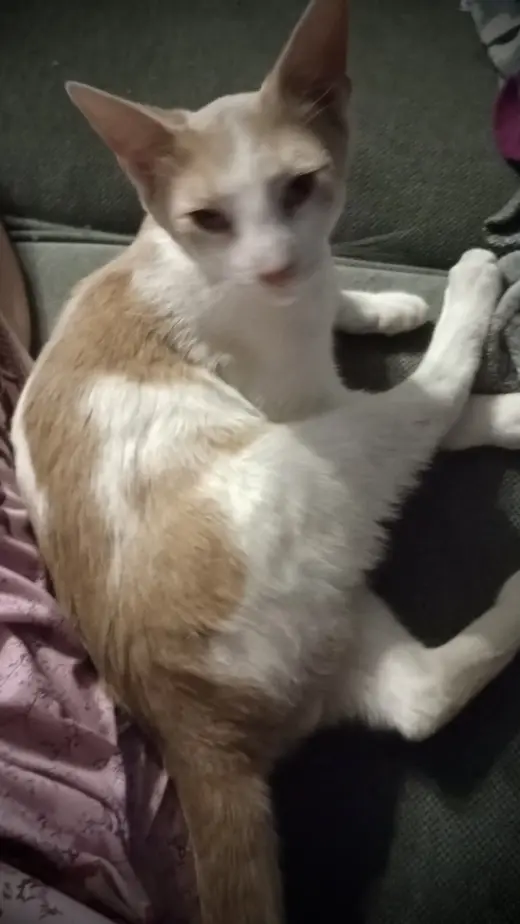 ***Ripley