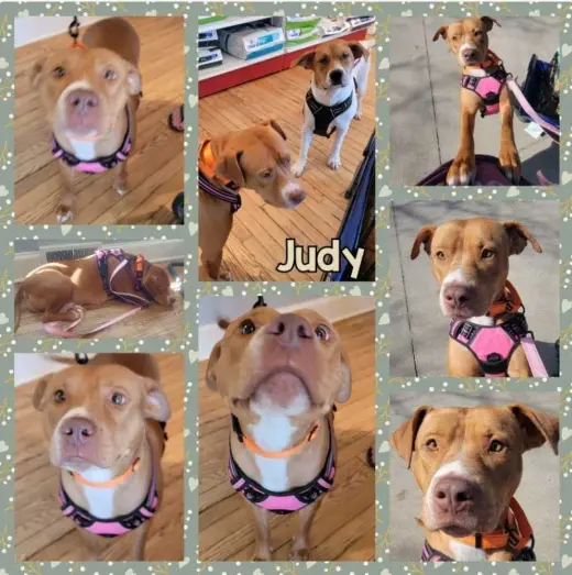 Mama Judy