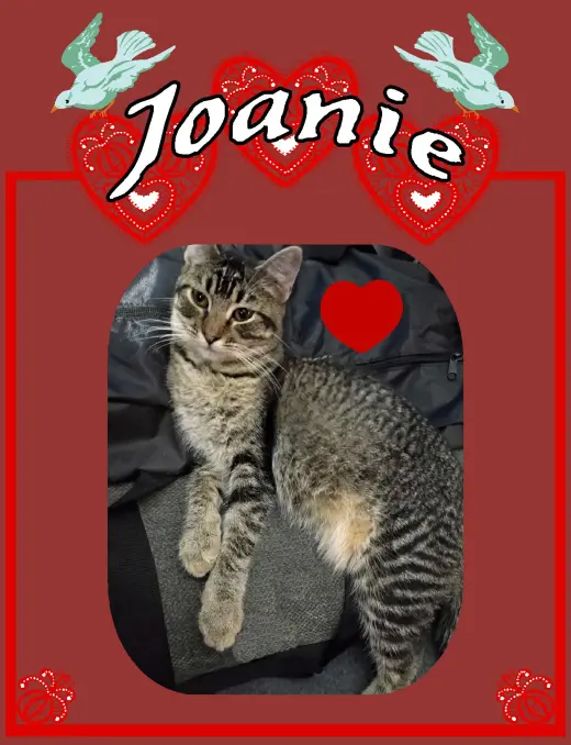 ***Joanie