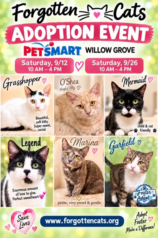 Willow Grove PS Sept. Adoption Events