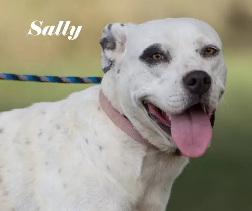 Sally