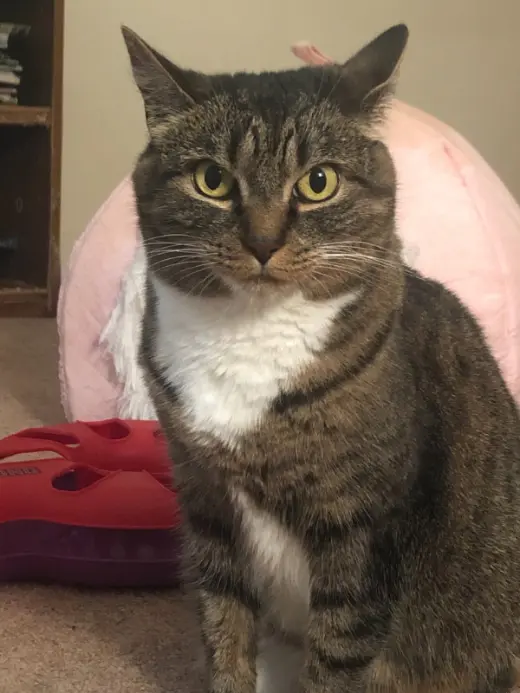 Luna