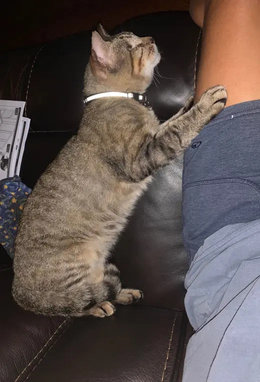 One Eyed Jack