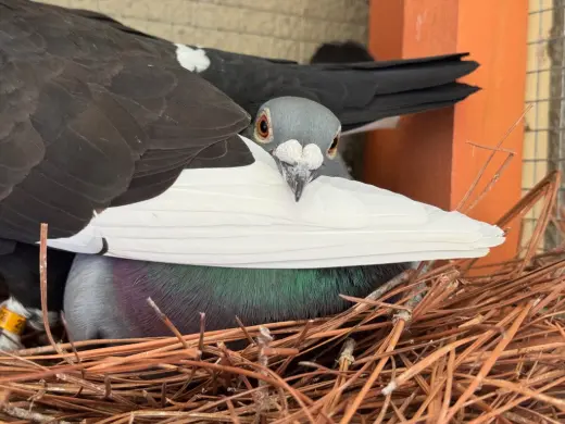 Abby w/Sprocket
