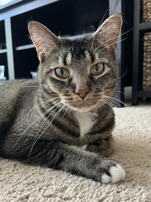 Luna