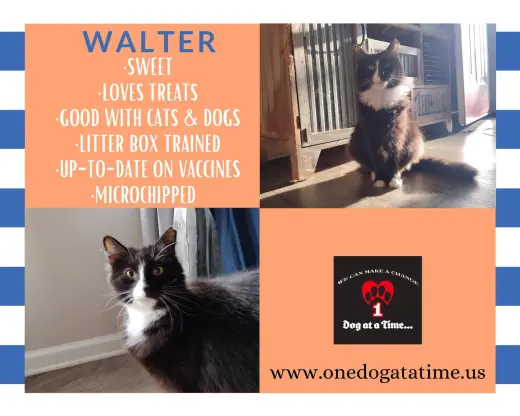 Walter