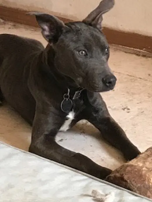 Jonah