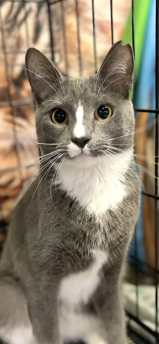 Tom