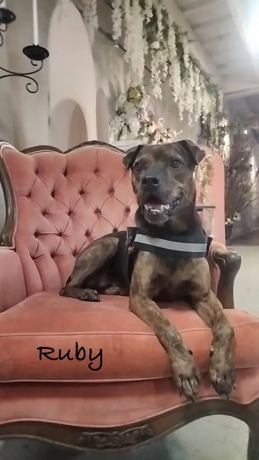 Ruby