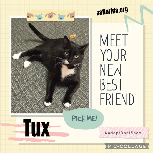 Fiji Tux