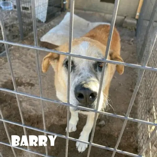 Barry
