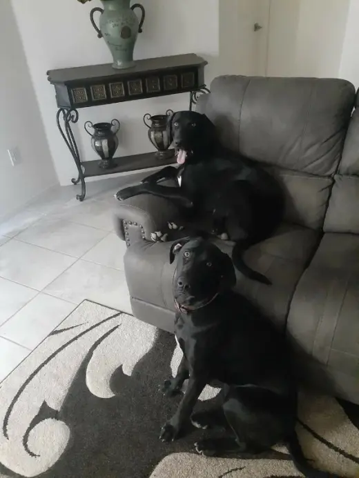 Odin