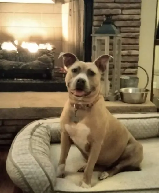 Bonnie (bonded to Clyde)