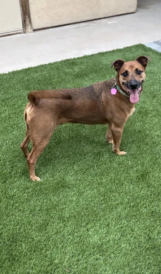 Max