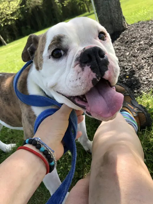 Daisy Mae