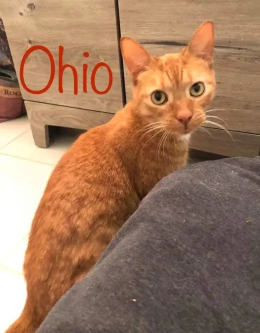 Ohio