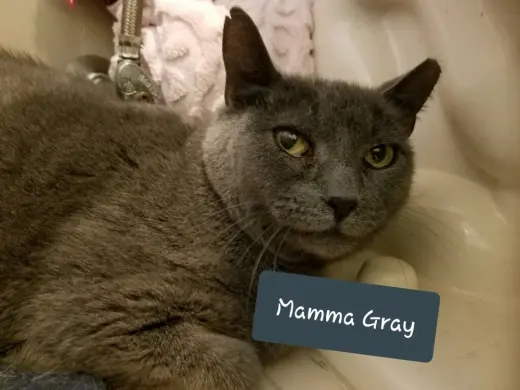 Mamma Gray