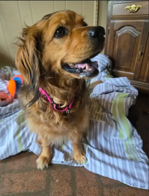 Penny in RI