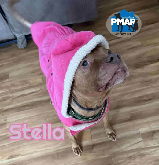 Stella