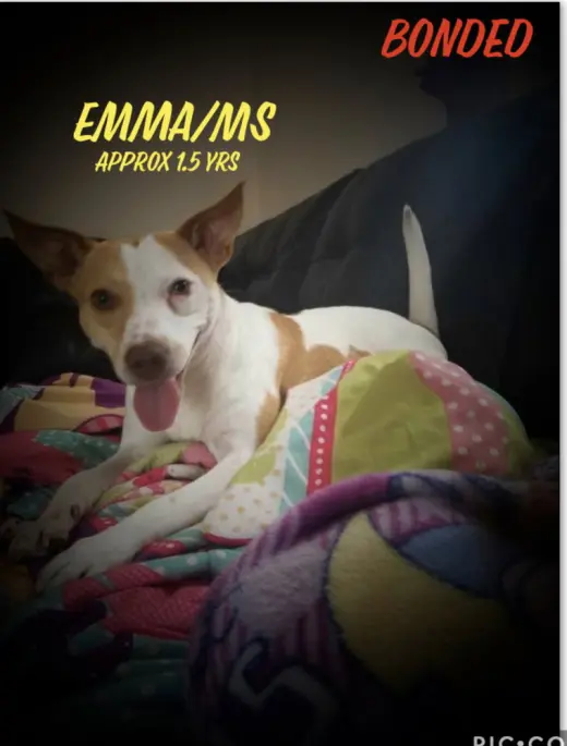 Emma/Ms*